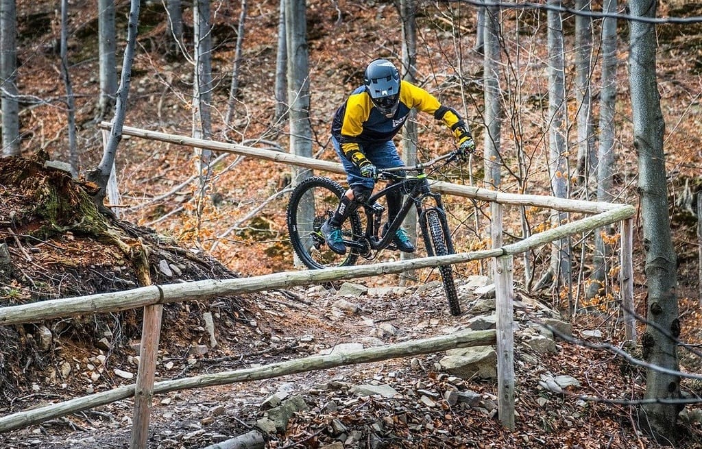Trail, randonnée, VTT : les sports de nature en vogue
